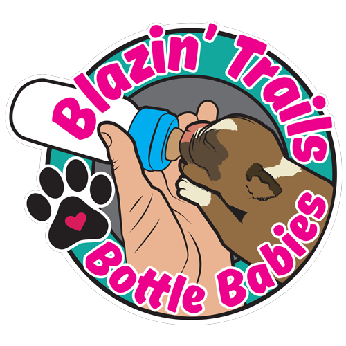Blazin' Trails Charity for Fall 2026